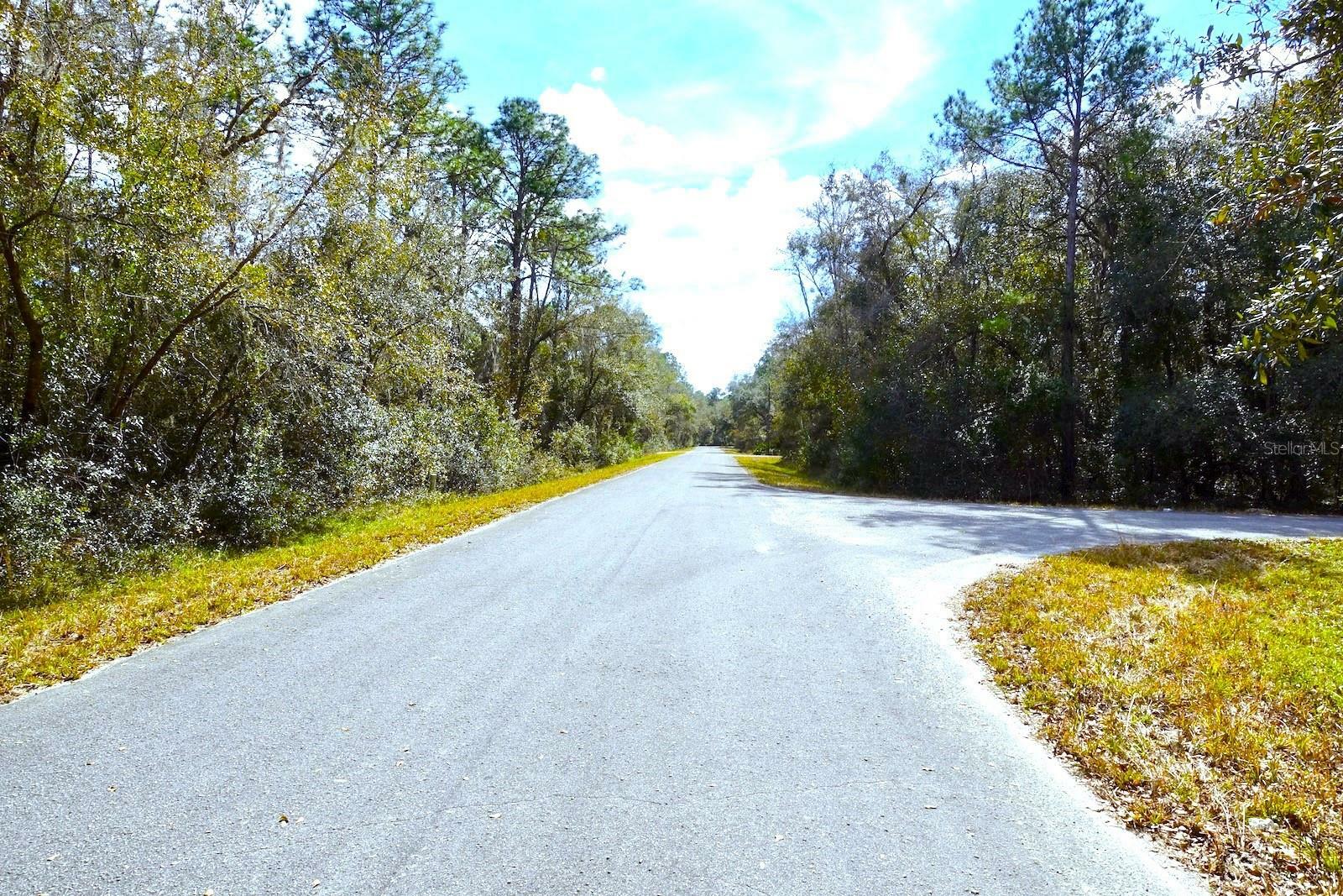 Property Photo:  Tbd Sequoia Drive Court  FL 32179 