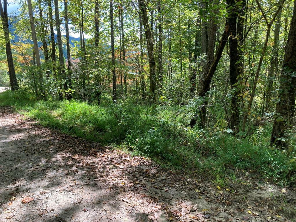 Property Photo:  11 Mountain View Trail  NC 28906 