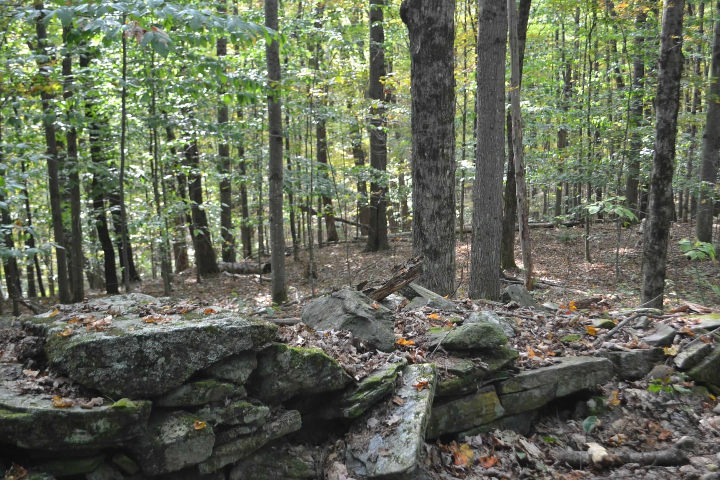 Property Photo: Off Parkside Drive VT 05602