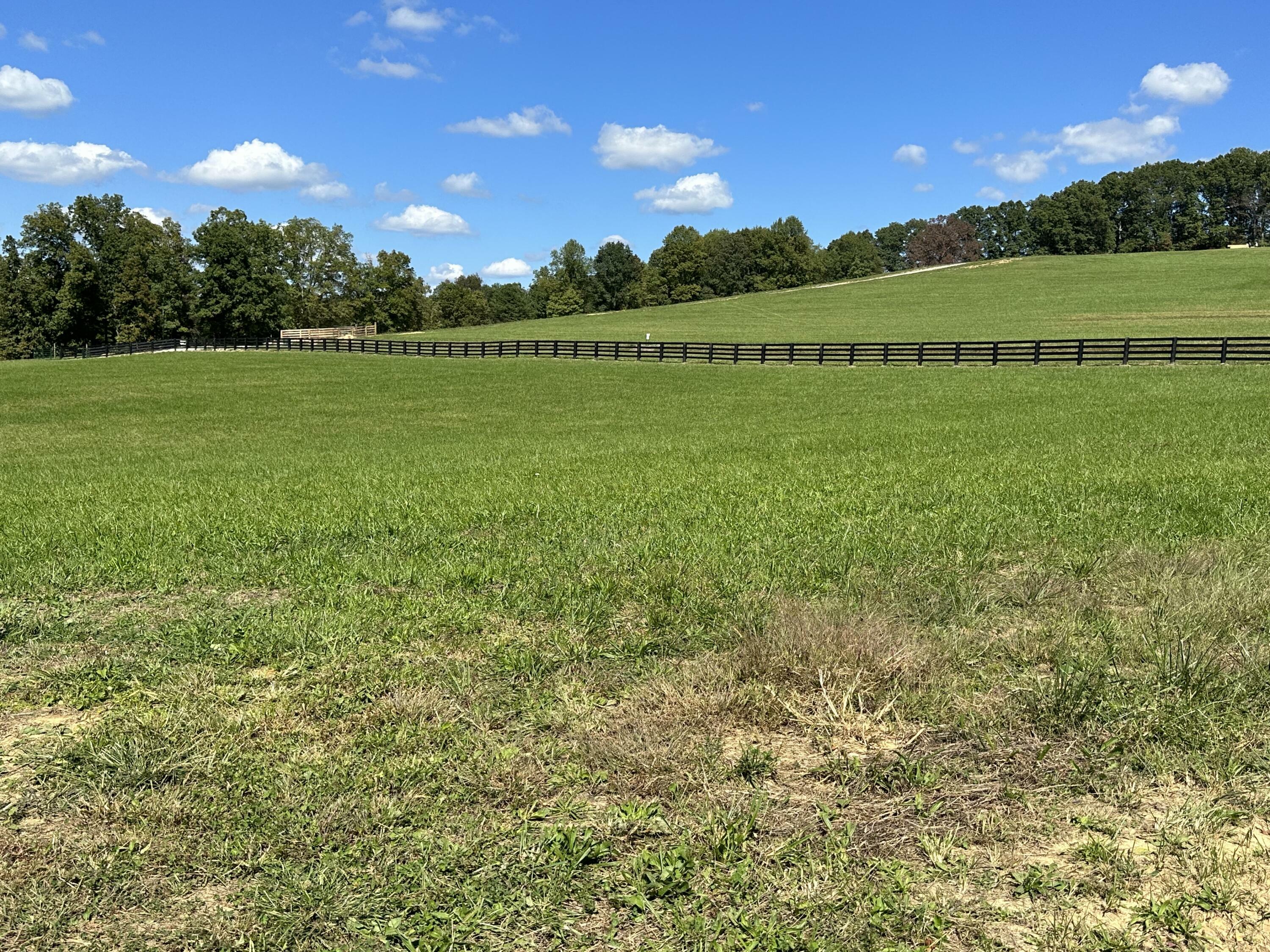 Property Photo:  Lot 14 Baldwin Road  KY 40447 