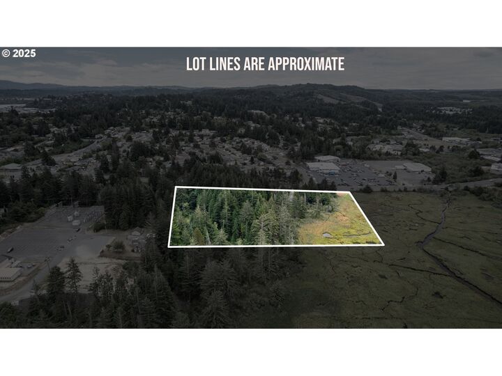 Property Photo: 0 Newmark OR 97459
