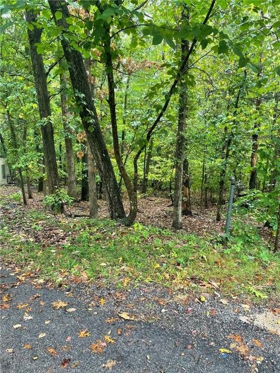 Property Photo:  Lot 31 Madley Lane  AR 72714 