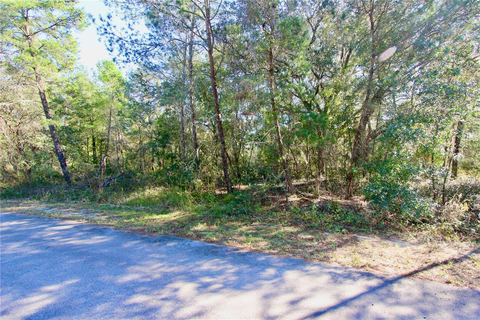 Property Photo:  SW Fisher Course  FL 32179 