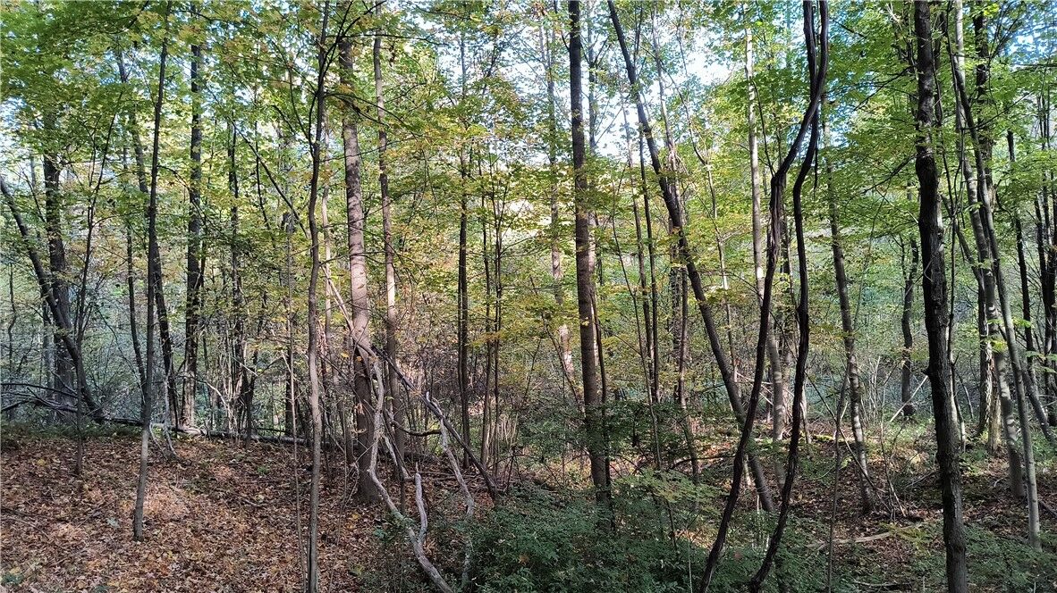 Property Photo: 0-000 Greenbriar Rd PA 15431