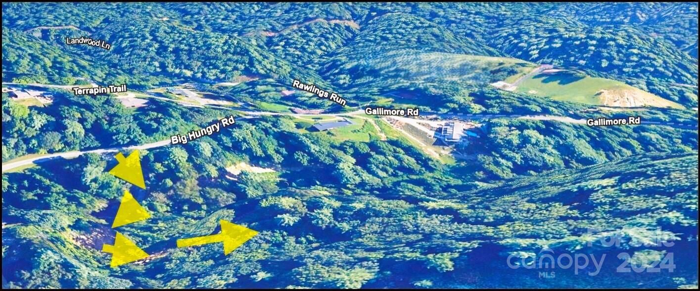 Property Photo: 000 Big Hungry Road NC 28731