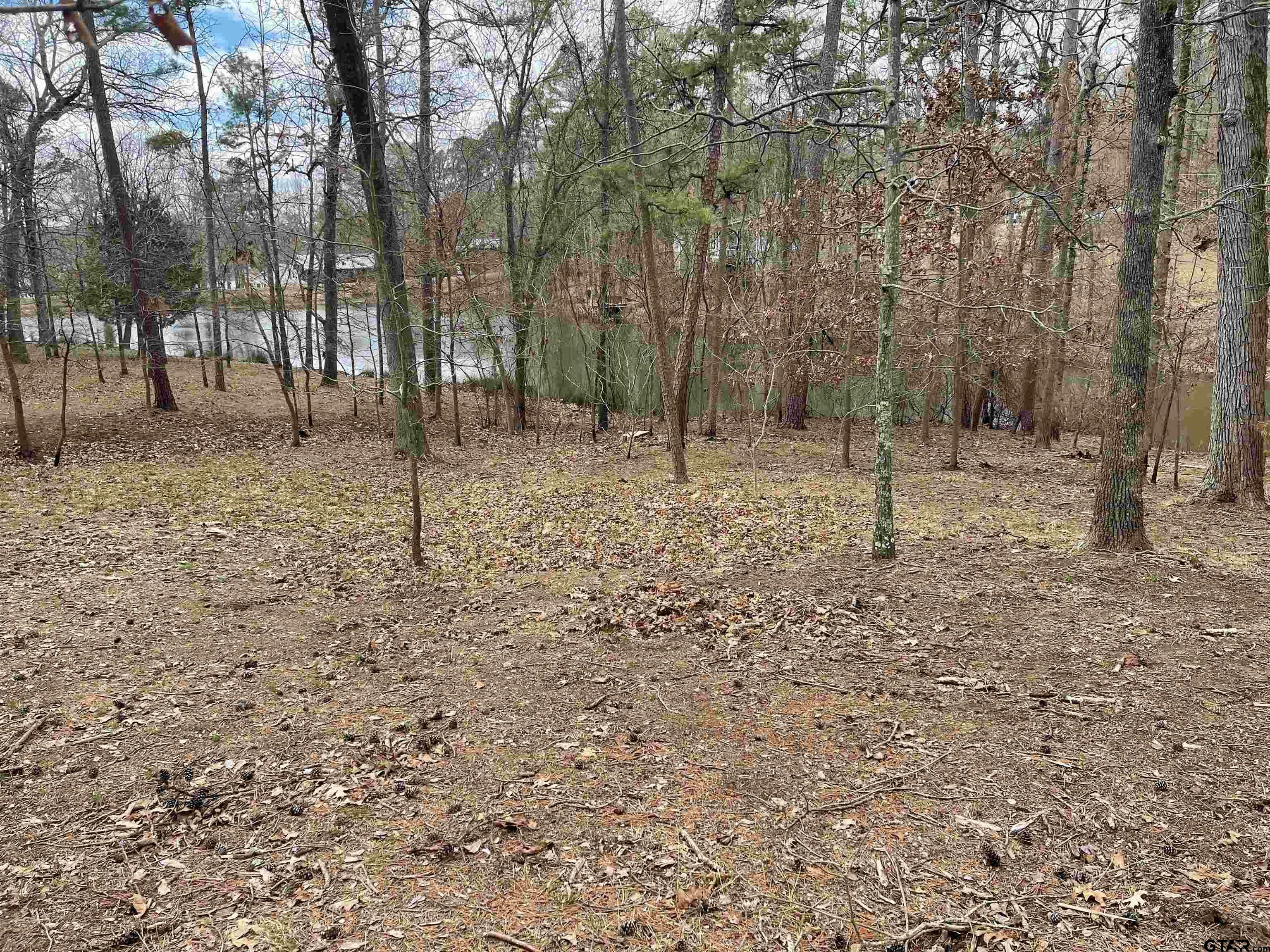 Property Photo:  Tbd King Thomas Drive  TX 75480 