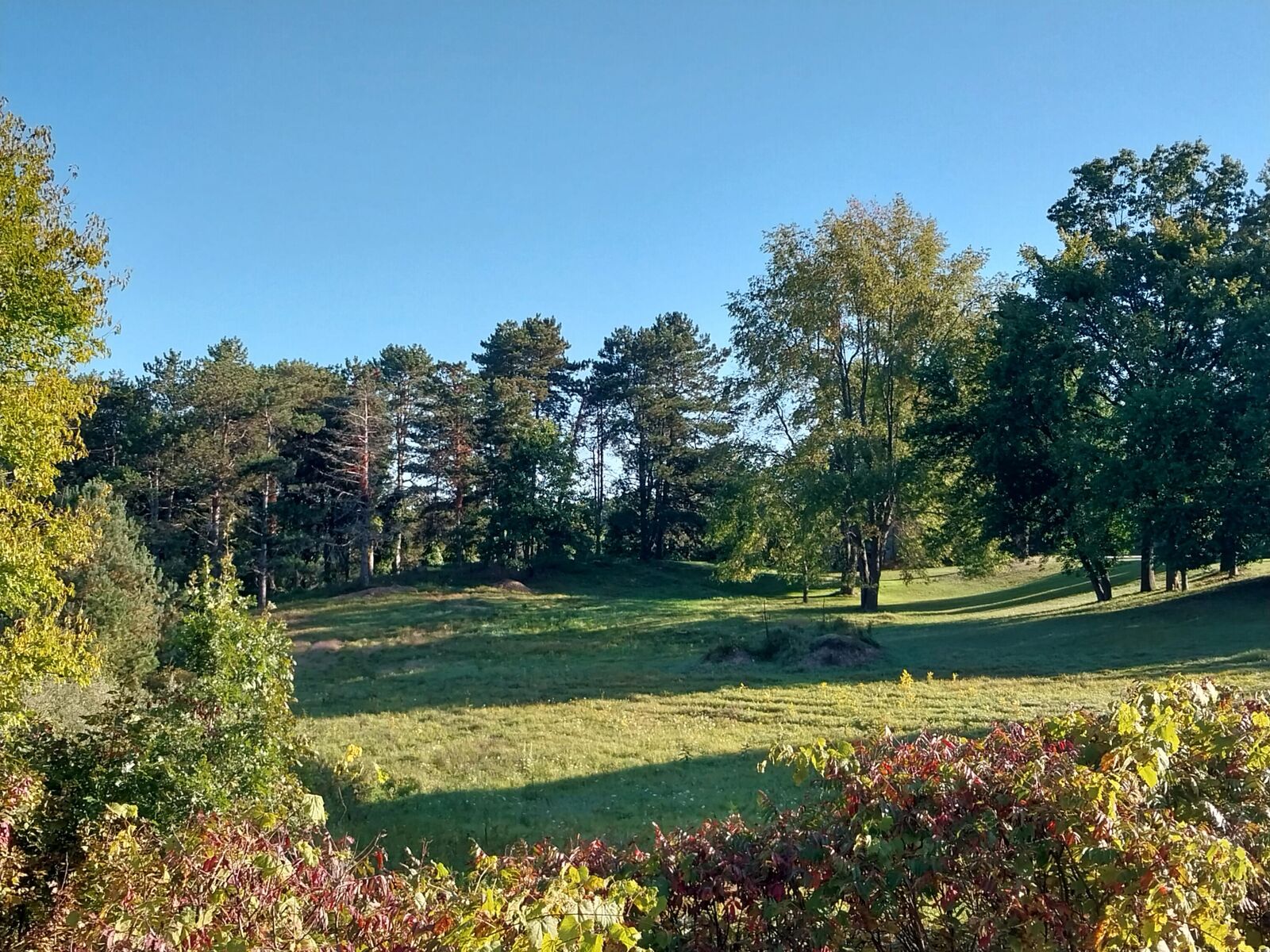 Property Photo:  8021 28th Street SE  MI 49301 