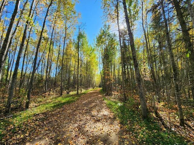 Property Photo: Tbd County Rd 121 MN 56636