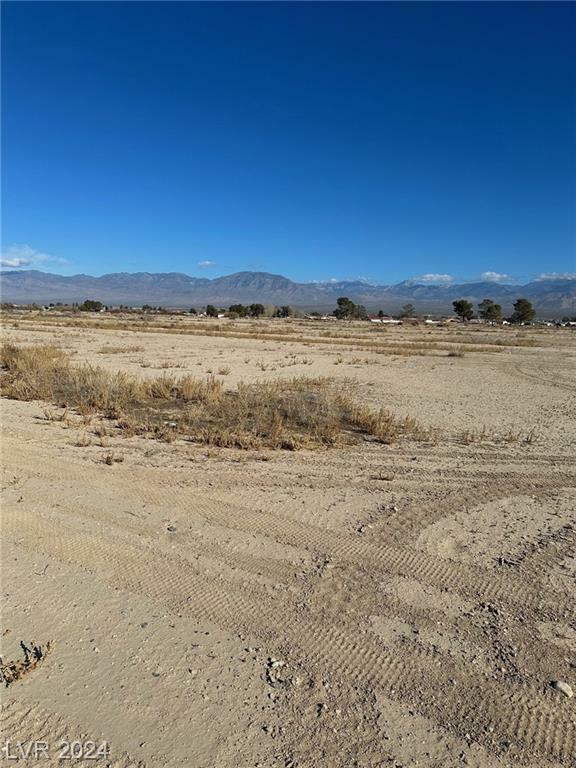 Property Photo:  2031 South Zelzah Avenue  NV 89048 