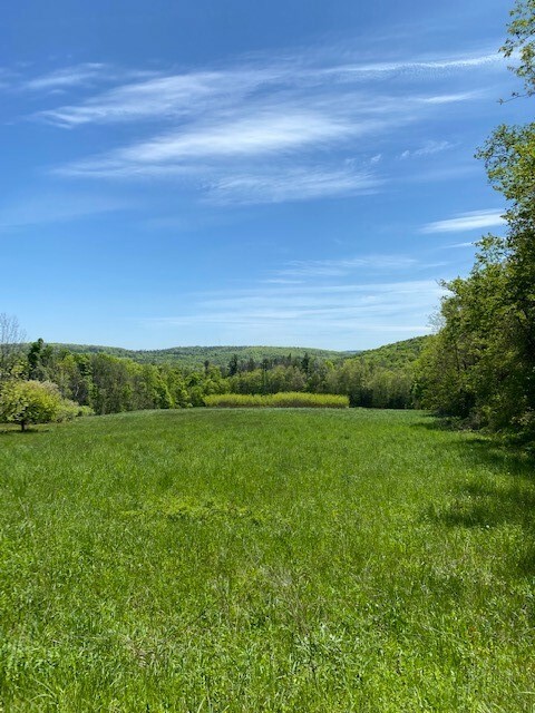 Property Photo:  Lot 4 Douglas Road  NY 14850 