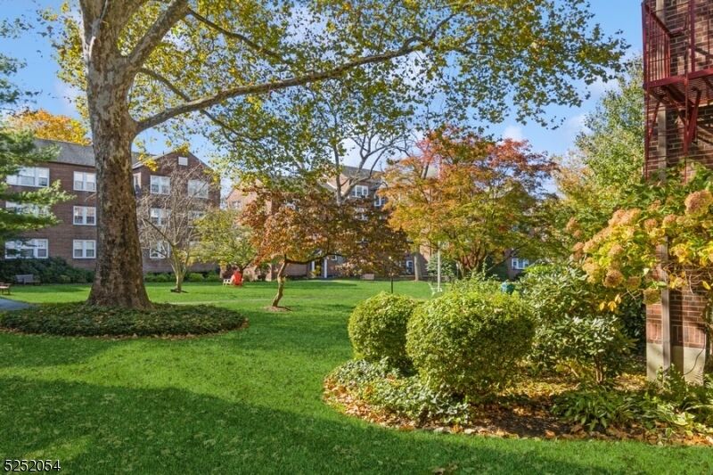 Property Photo:  217 Prospect Ave 2C  NJ 07016 