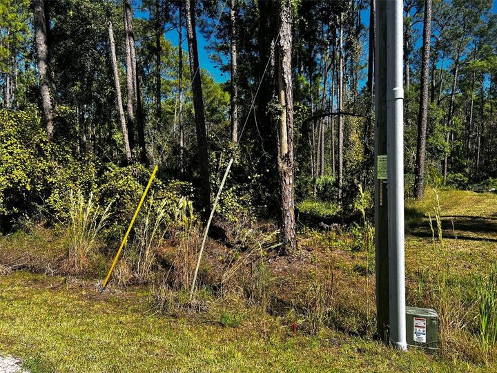 Property Photo:  East Parkway  FL 32724 
