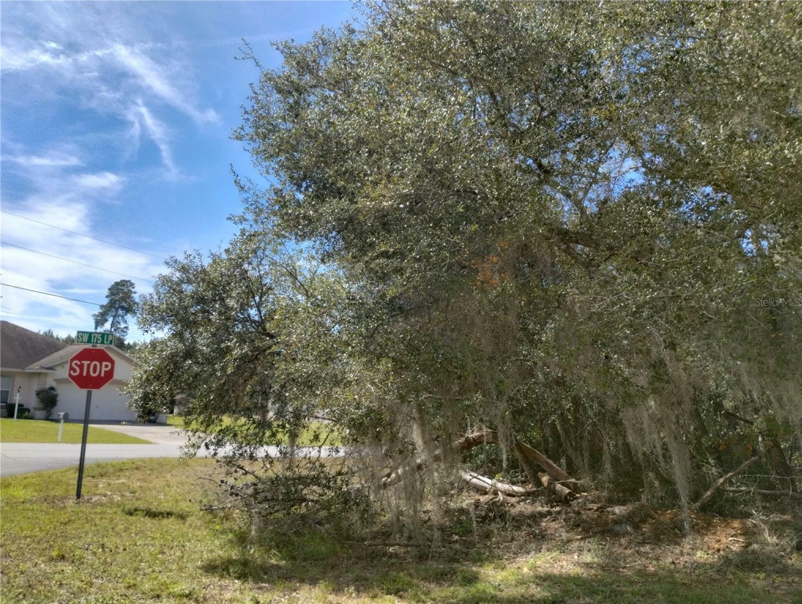 Property Photo:  00 SW 176th Loop  FL 34473 