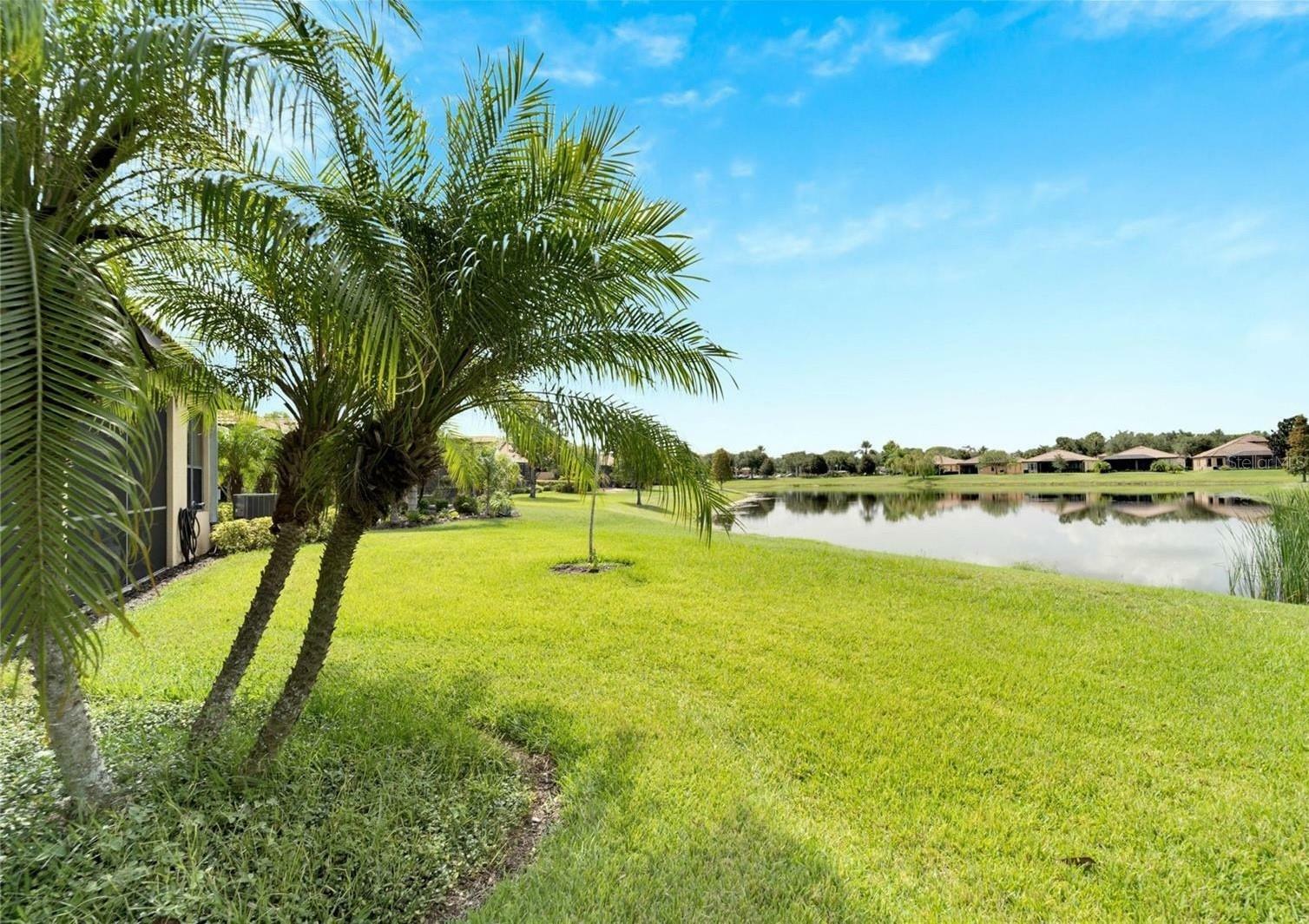 Property Photo:  224 Silver Falls Drive  FL 33572 