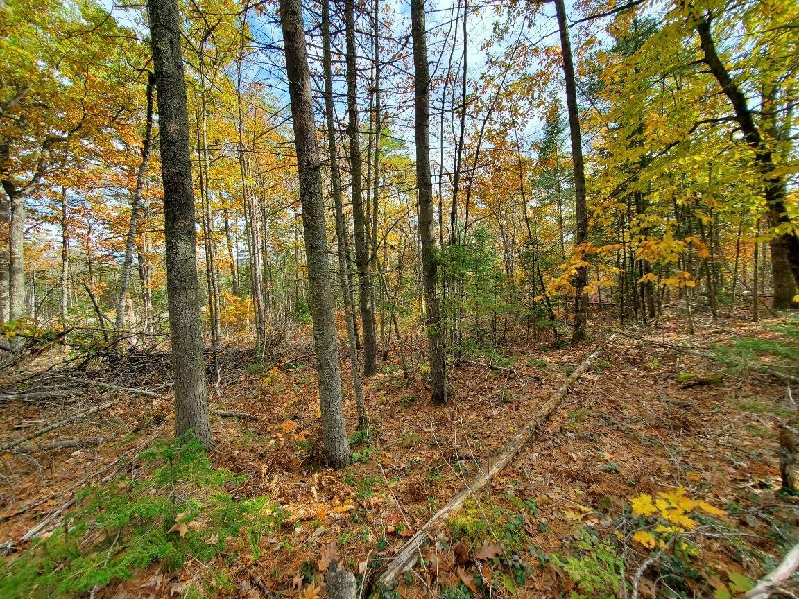 Property Photo:  0 Stillwater Avenue Lot A  ME 04401 