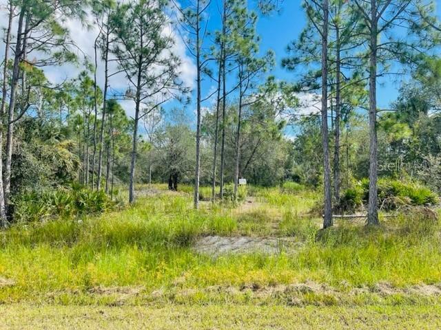 Property Photo: 13484 Michilin Avenue FL 33955