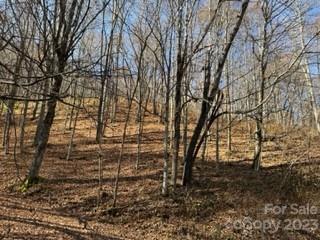 Property Photo: 00 Tawodi Trail 13 NC 28751