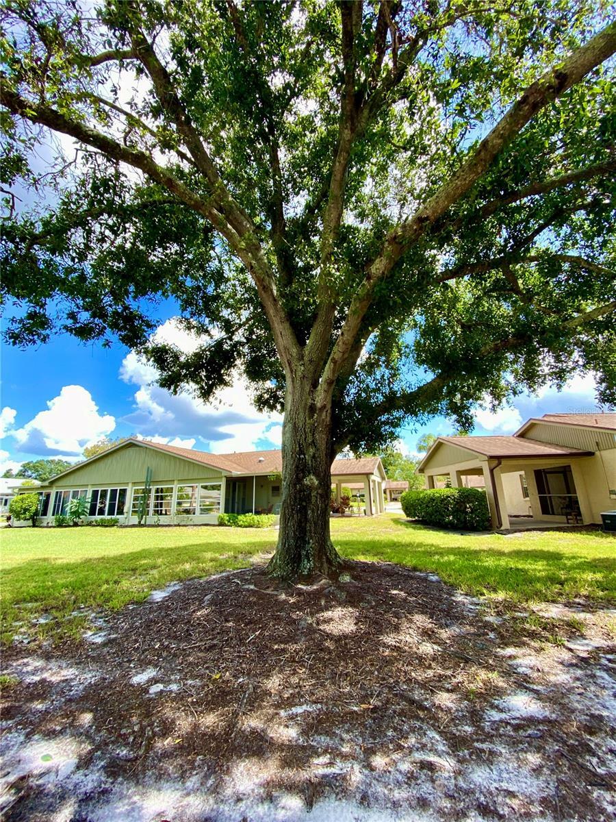 Property Photo:  501 Foxglove Circle B  FL 33573 