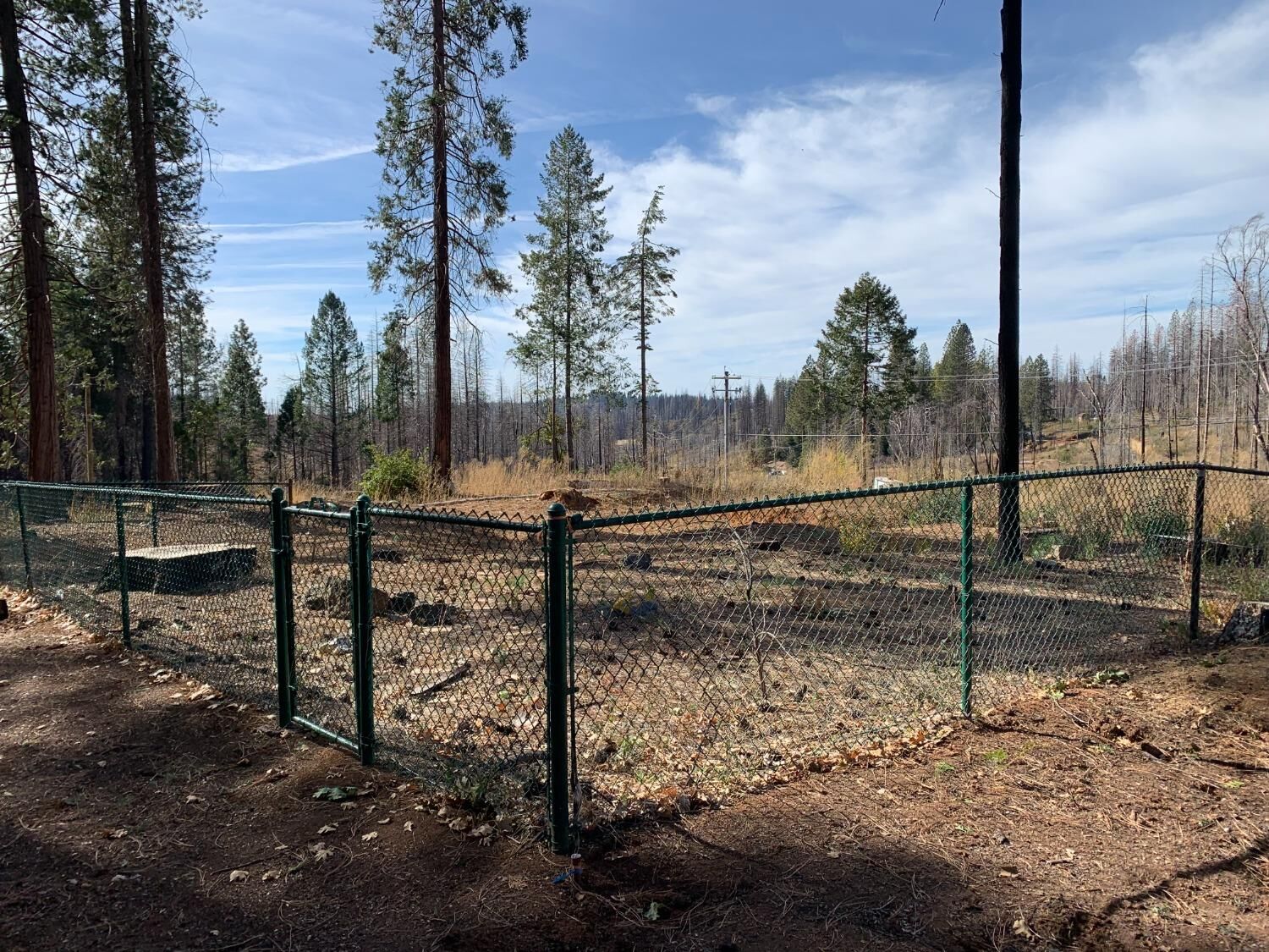 Property Photo: 7634 Forest Glen Drive CA 95636