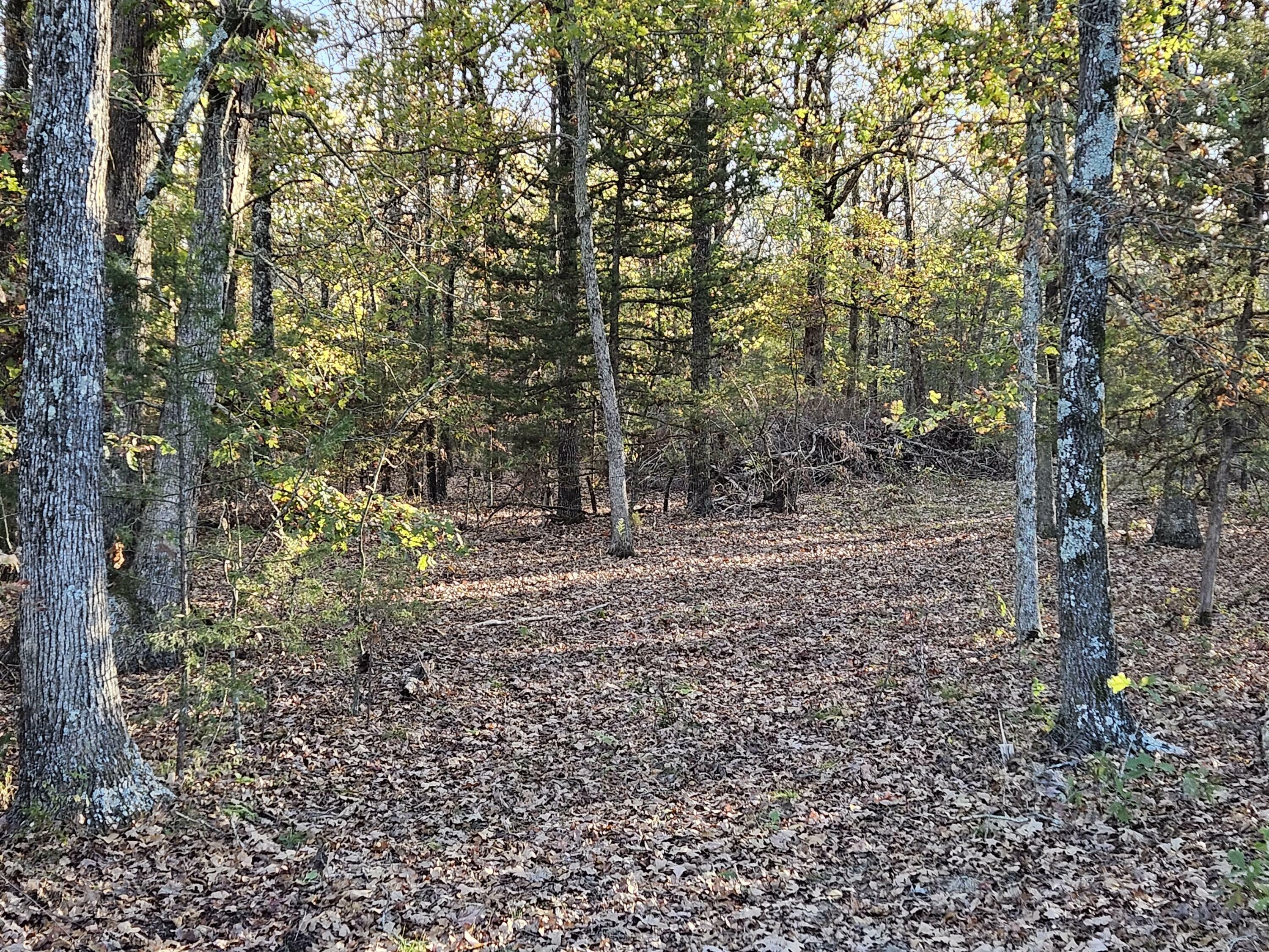 Property Photo:  000 State Highway 174  MO 65705 