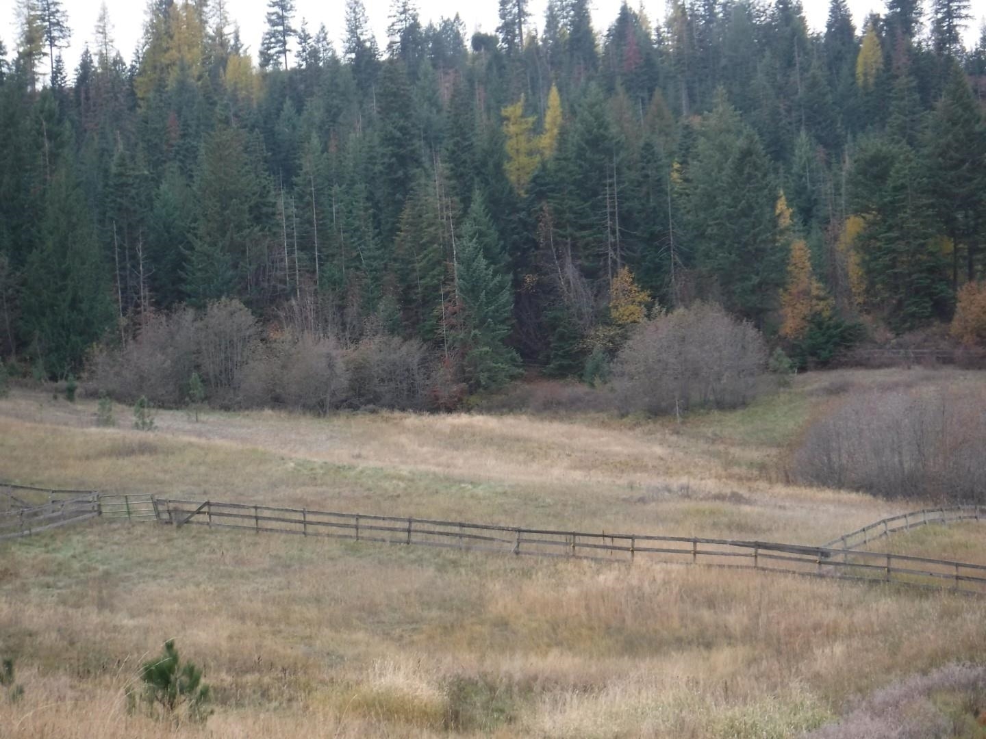 Property Photo: Xx Mountain Top Ln WA 99021
