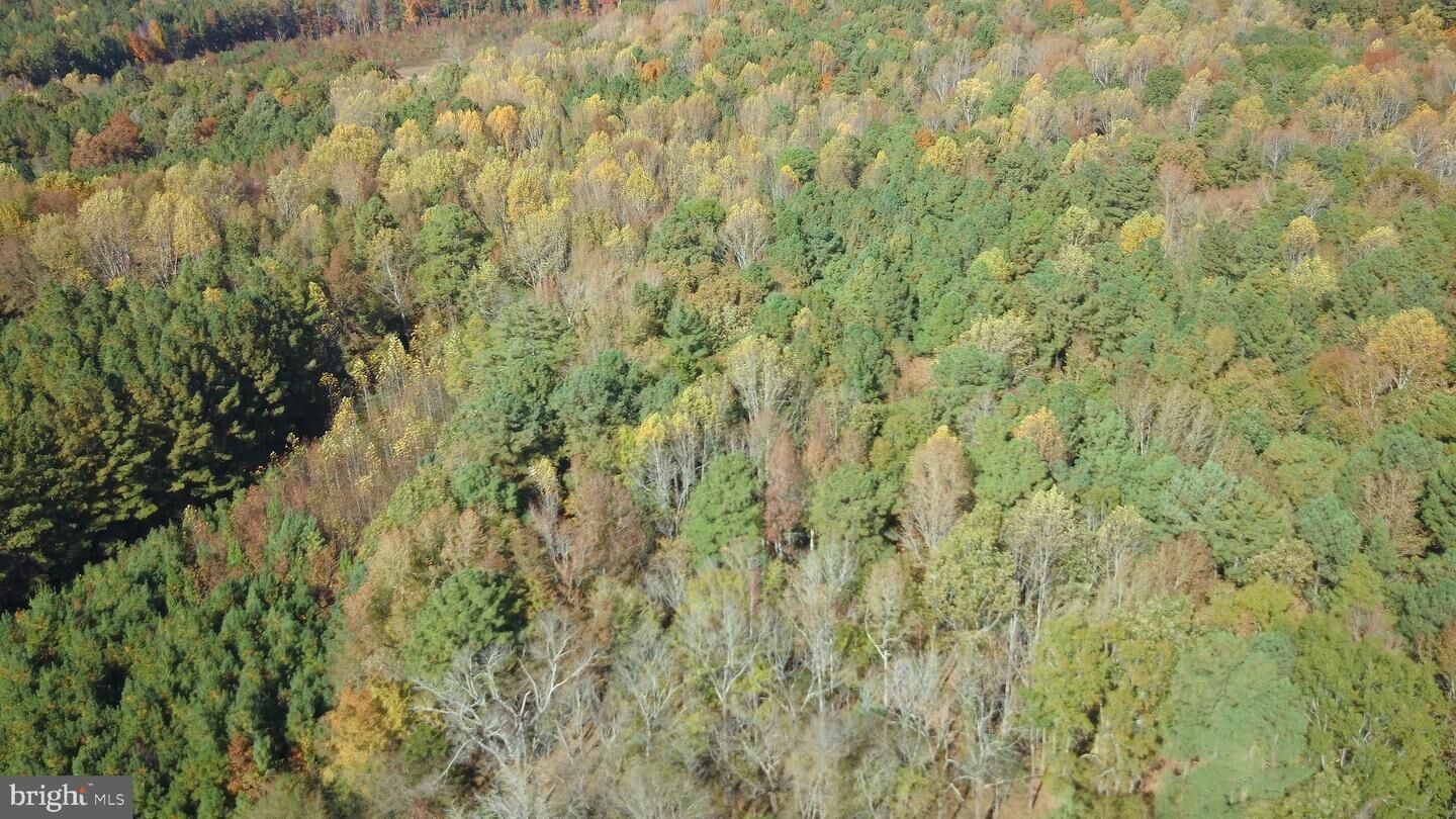 Property Photo:  686 Wilson Creek Lane  VA 23868 