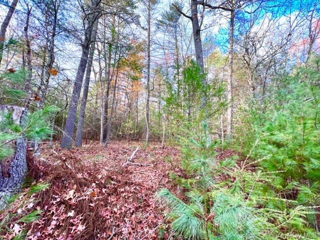 Barker Road  Eldred NY 12732 photo