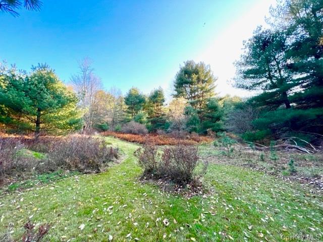 114 Hillside Road  Barryville NY 12719 photo