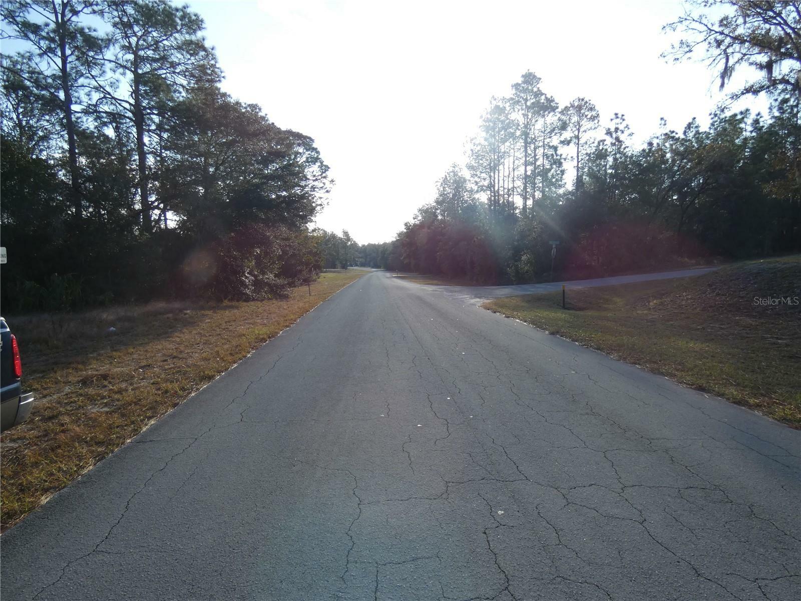 Property Photo:  Lot 31 SW 93 Lane Rd Dunnellon  FL 34431 