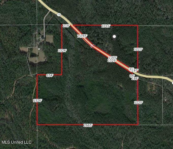 137 Acres Hwy 15  Perkinston MS 39573 photo