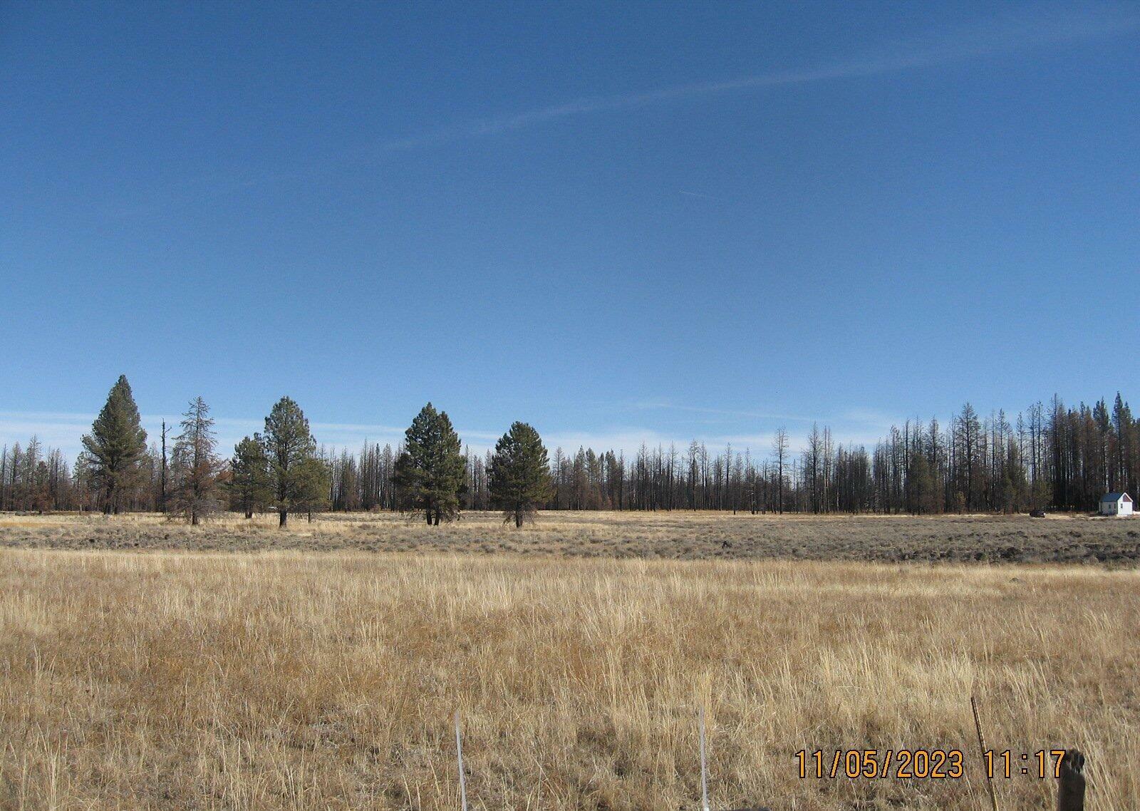 Property Photo:  Lot 12N White Birch Way  OR 97622 