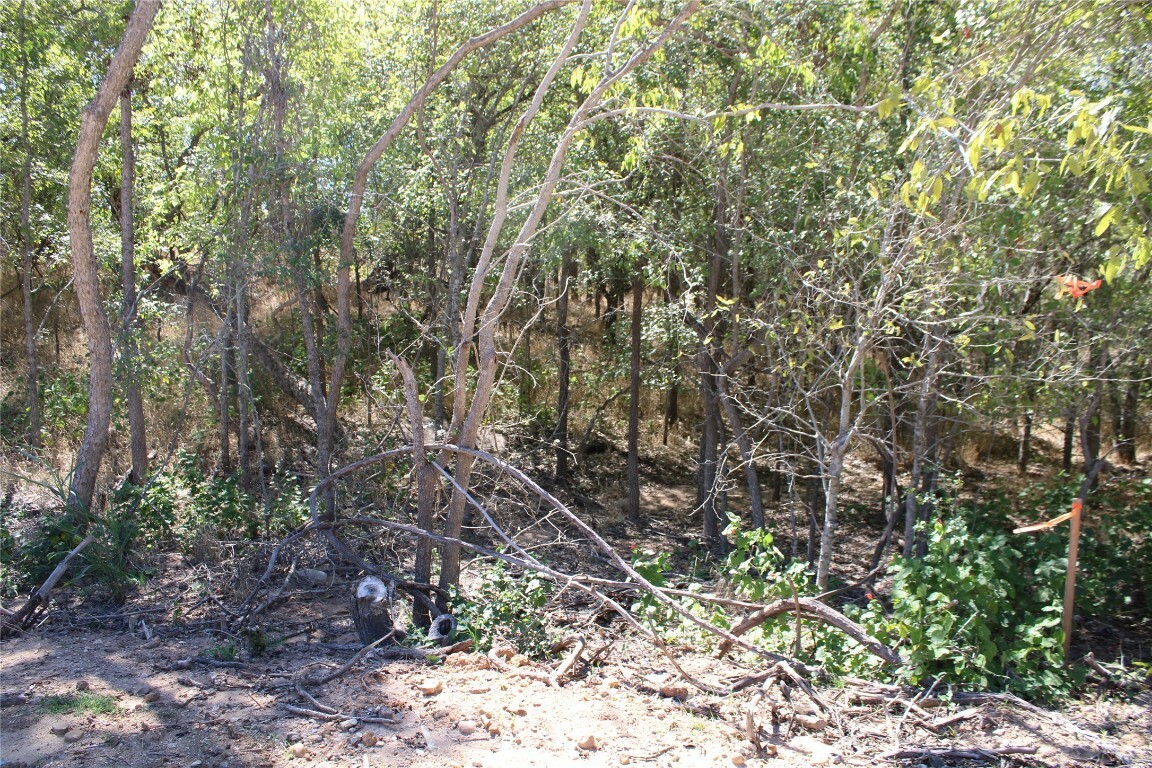 Property Photo:  103 & 105 W Kikipua Lane  TX 78602 