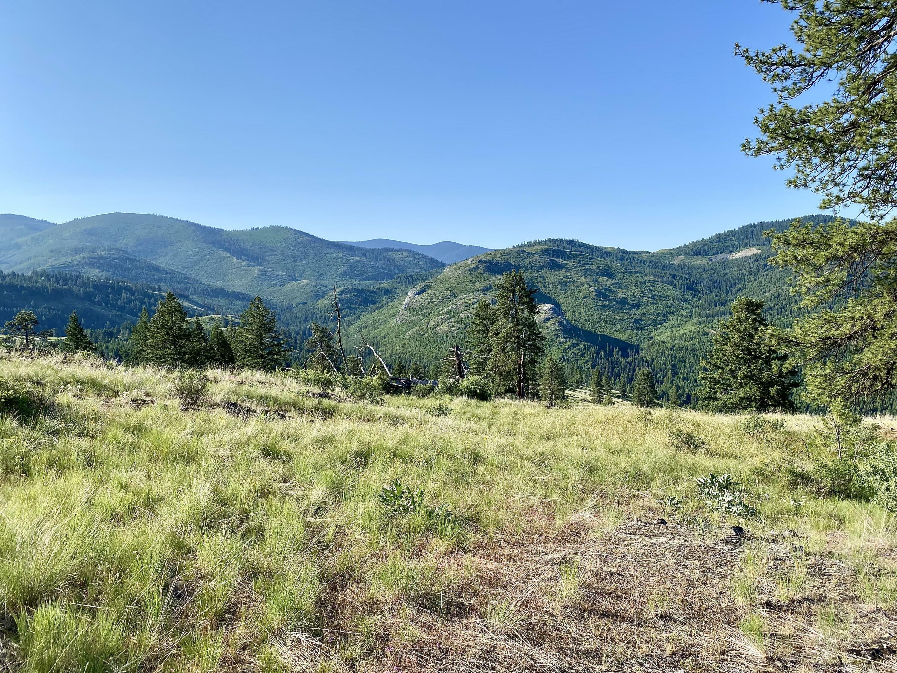 Property Photo:  0001 Dignity Ranch Rd  WA 99166 