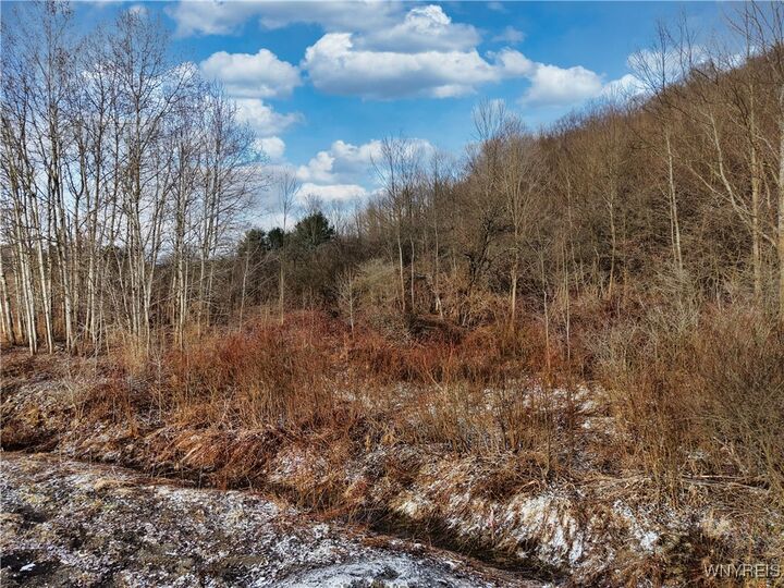 6010 Nys Rte 242 Lot #6  Ellicottville NY 14731 photo