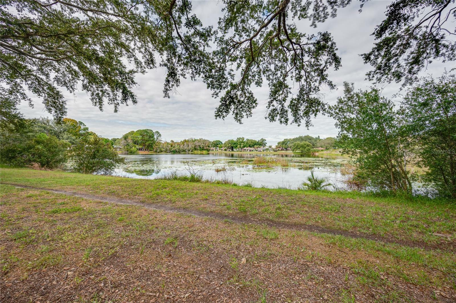 Property Photo:  3020 Mary Lane  FL 32757 