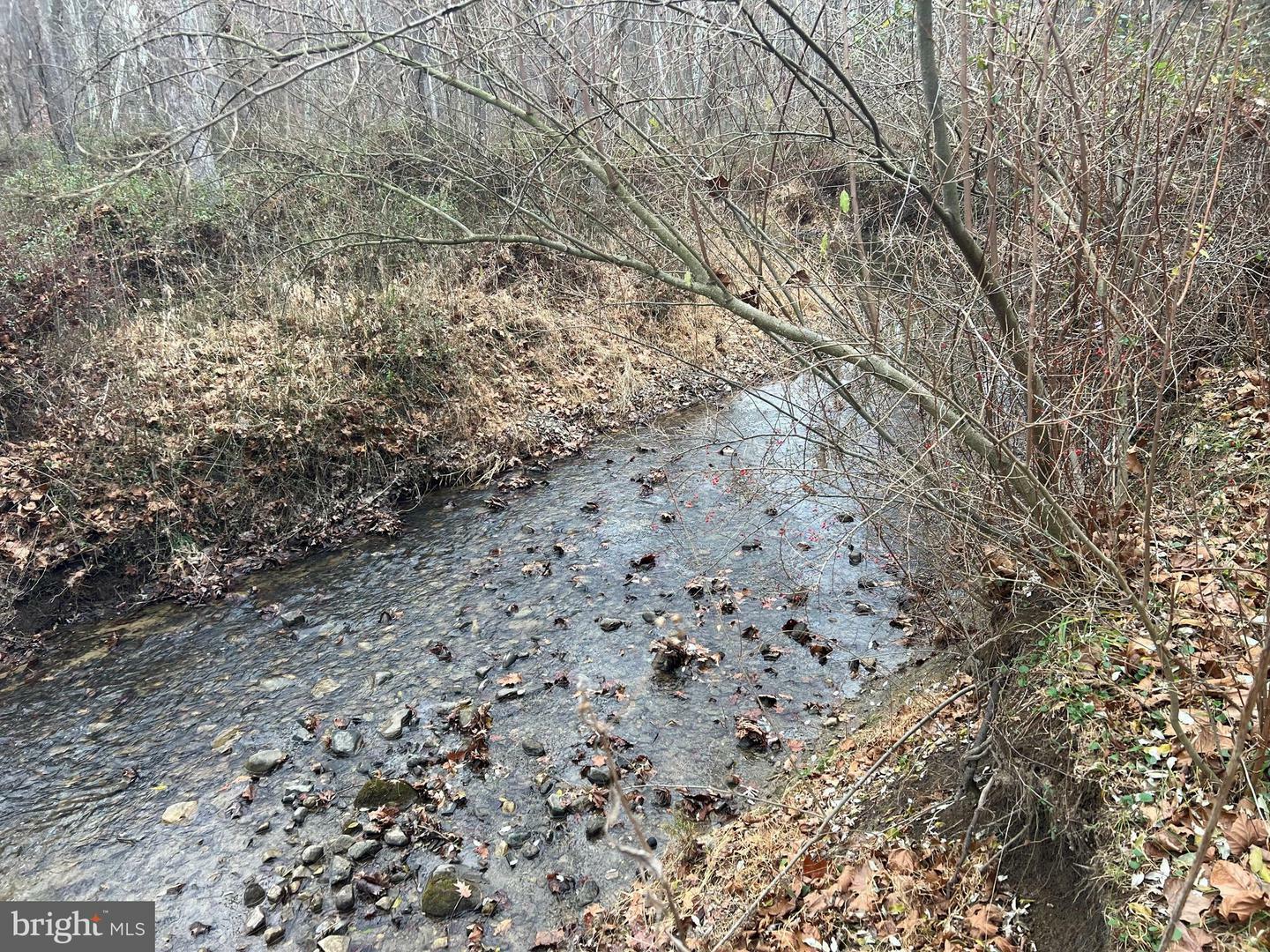 Property Photo:  Lot 16 Paw Paw Mountain Road  WV 26711 