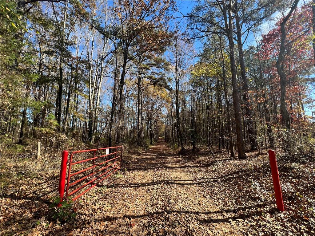 Property Photo: 0 Issac Head Road GA 30233