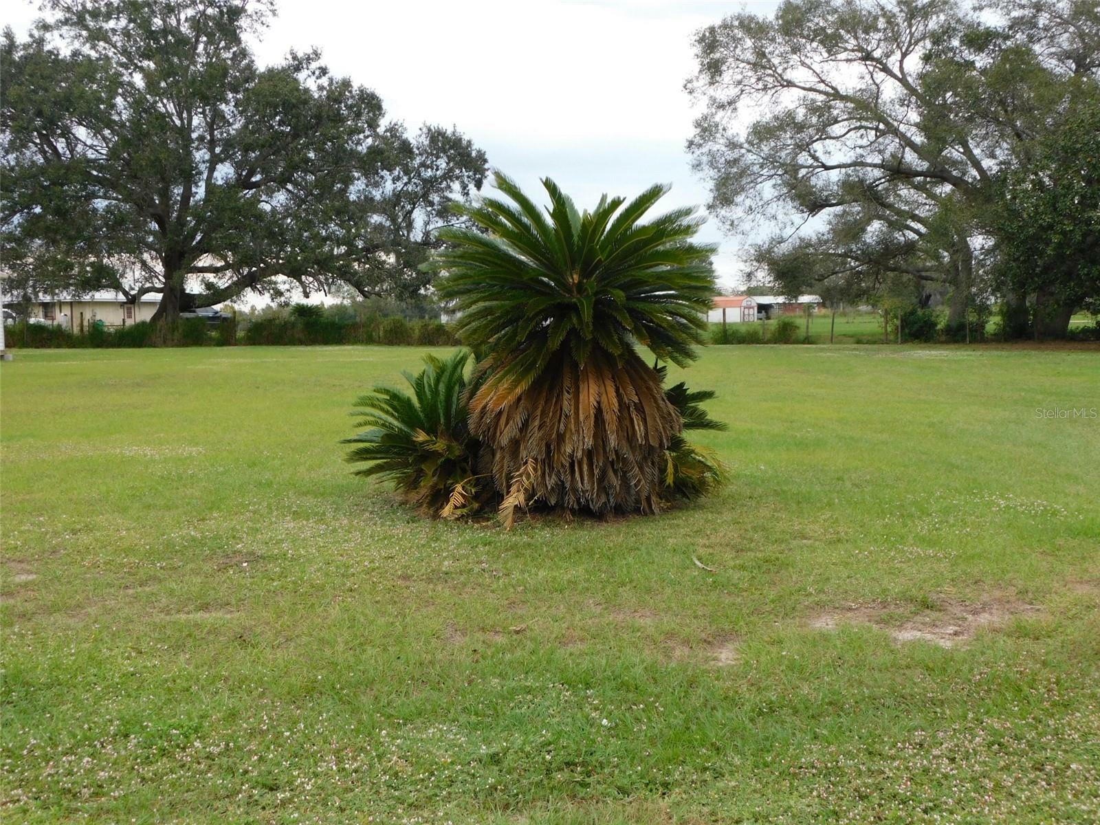 Property Photo:  1528 NE Strickland Street  FL 34266 