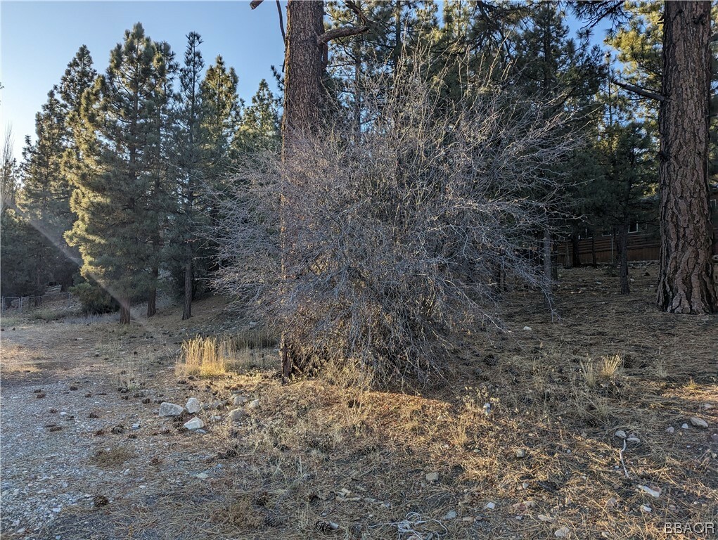 Property Photo: 00 Greenspot Road CA 92314
