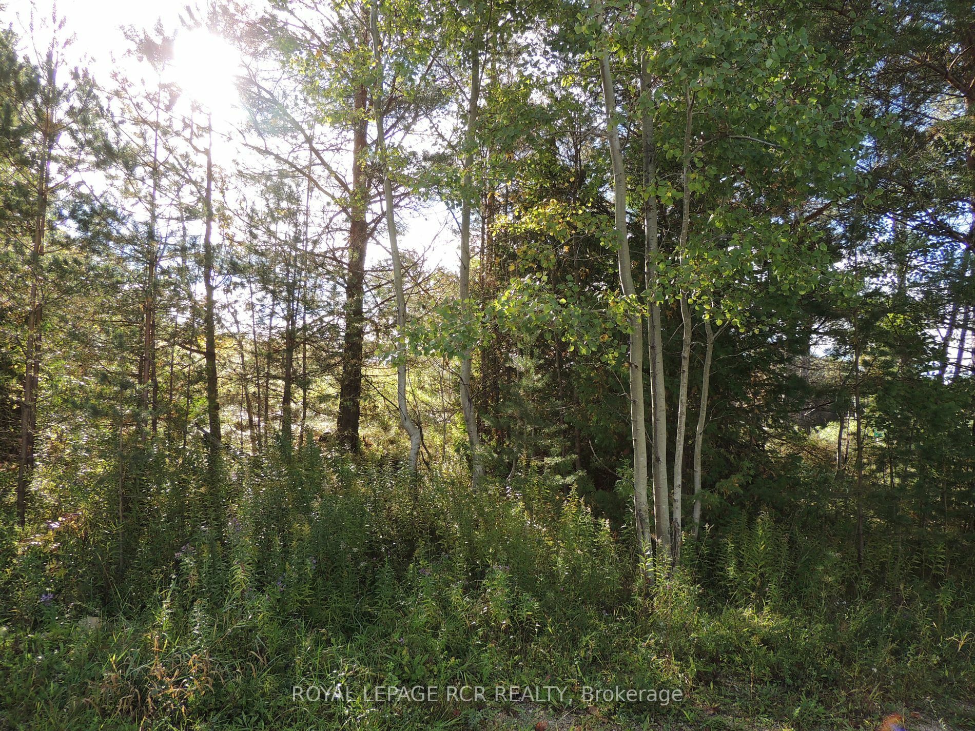 Property Photo:  Lot 90 Highway 10 Rd  ON N0C 1H0 