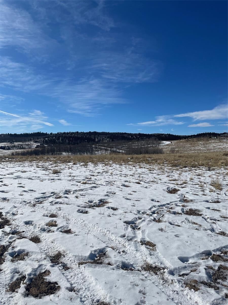 Property Photo:  83 Pelican Place  CO 80432 