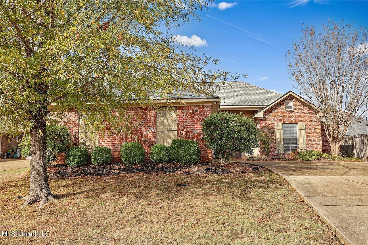 Property Photo:  444 Spring Hill Point  MS 39047 