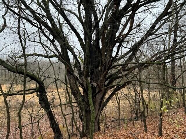 Property Photo:  0 Overlook Drive  MI 48176 