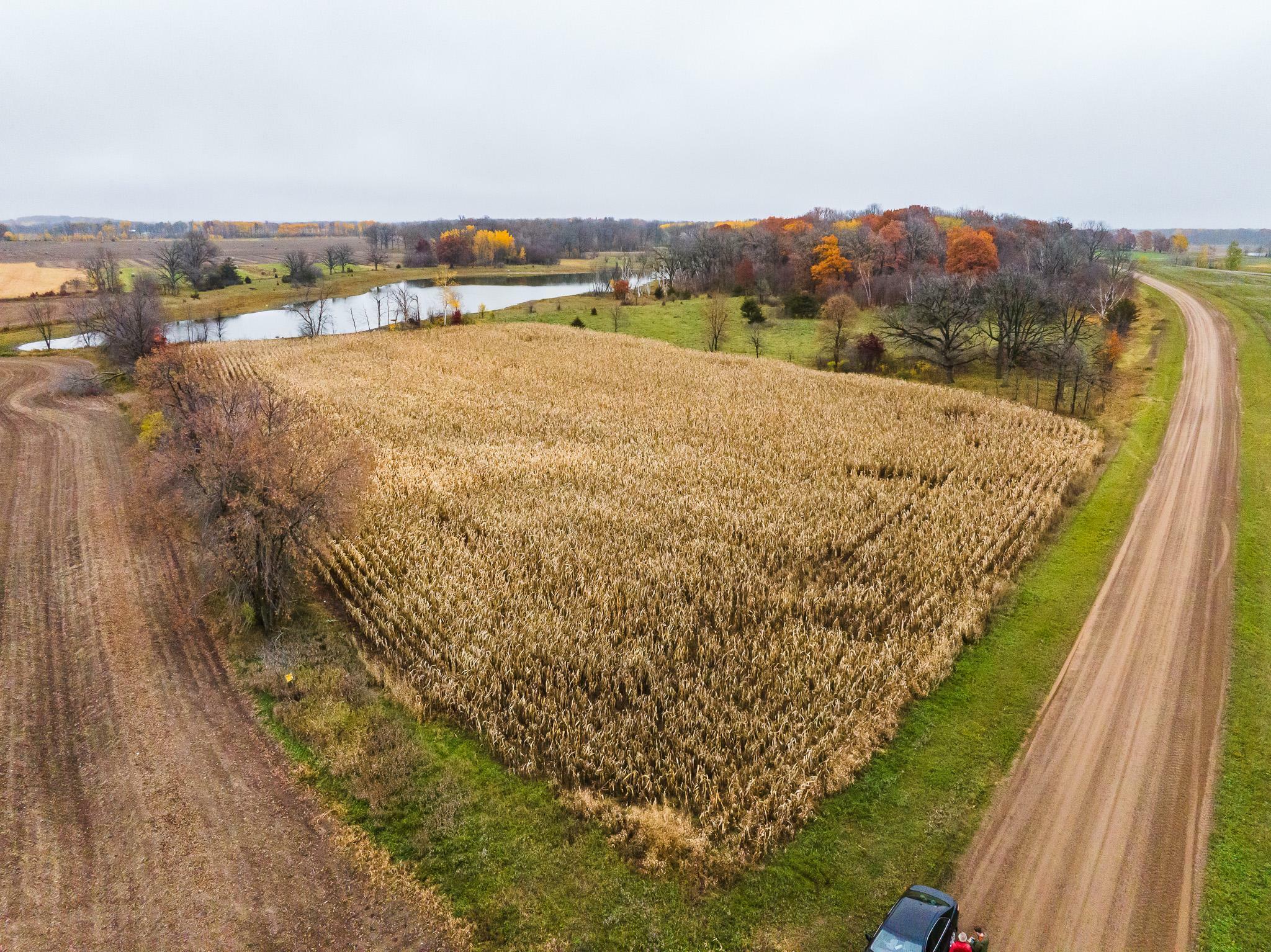 Property Photo:  Xxx-40 Acres Darling Road  MN 56345 