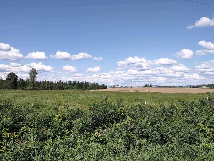 MLS202325107 Xx Dahl Rd, Deer Park, WA 99006