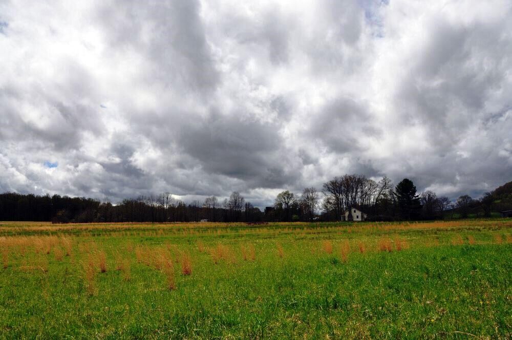 Property Photo:  0 Co Rte 60/4 Road  WV 24931 
