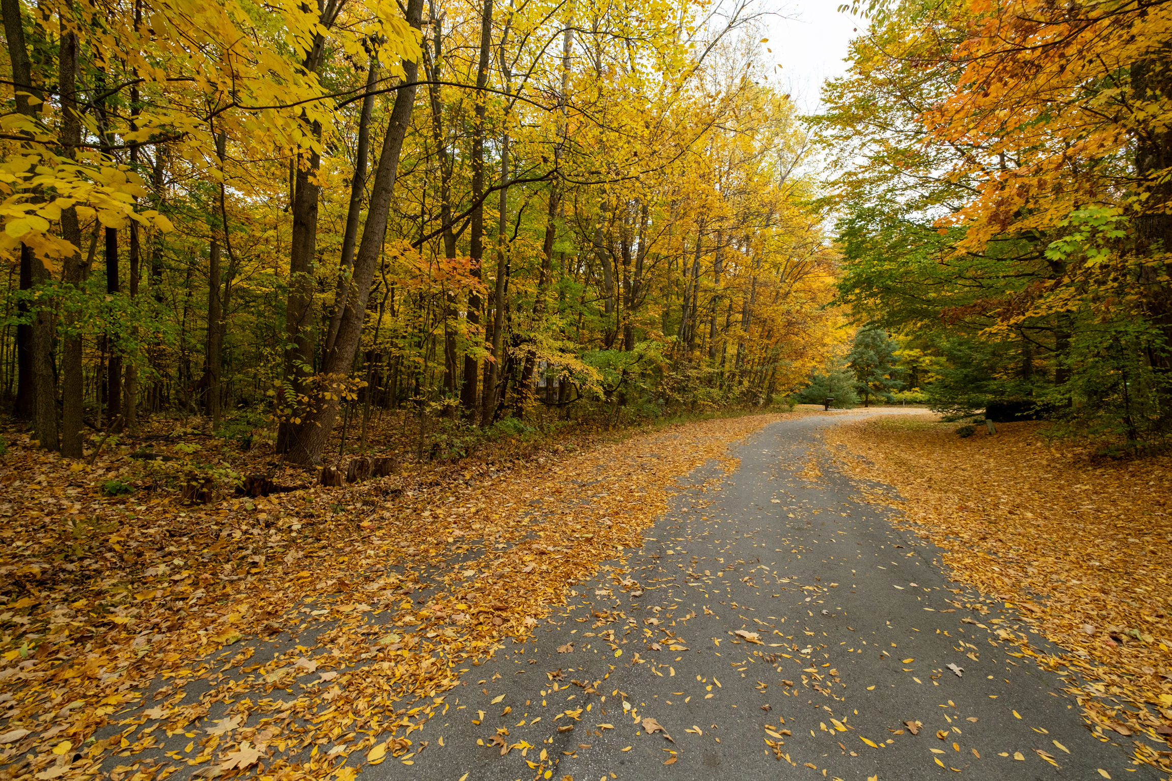 Property Photo:  606 Sly Run Overlook  IN 46062 