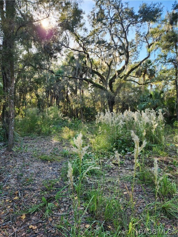 Property Photo:  5274 & 5306 N Suncoast Boulevard  FL 34428 