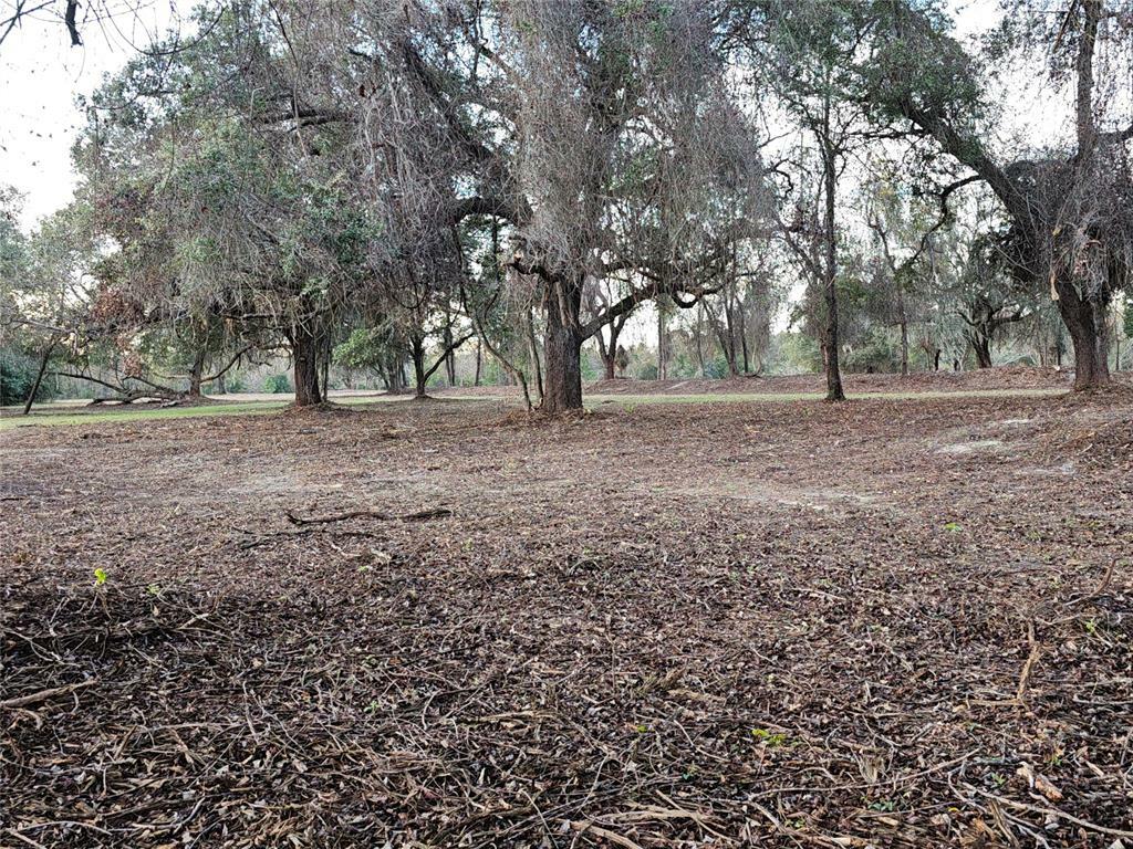 Property Photo:  17121 Brush Creek Lane  FL 32046 