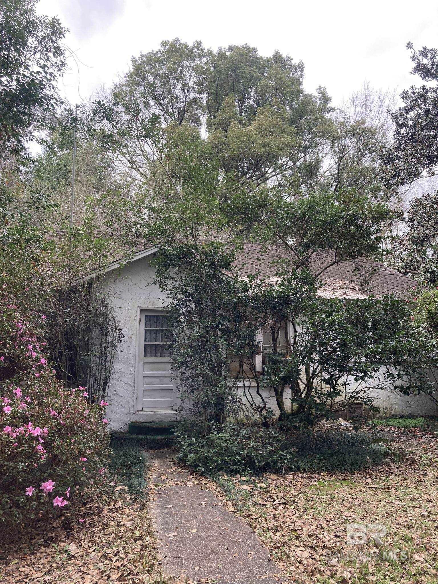 Property Photo:  17501 County Road 52  AL 36576 